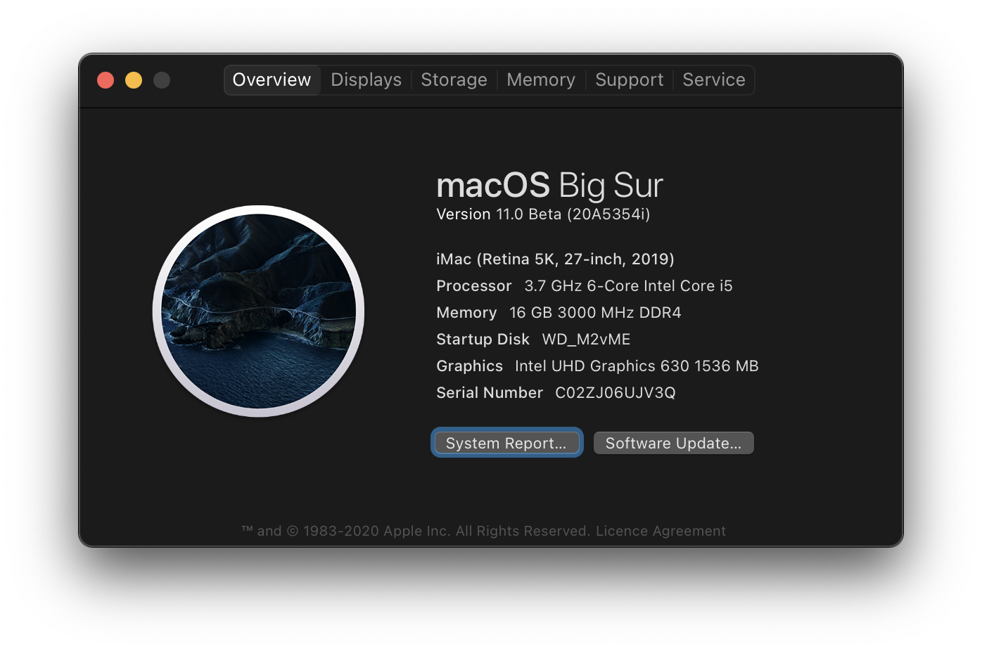 About This Mac 2020-08-20 23-53-46.png