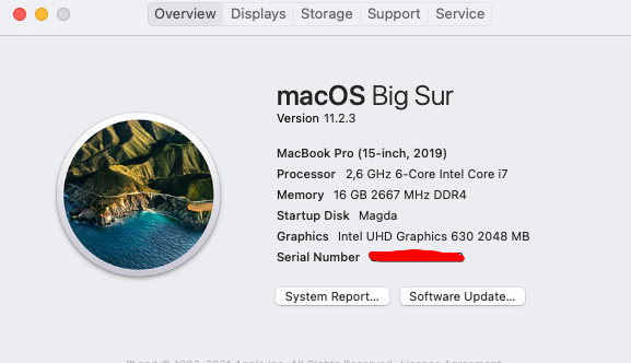 About This Mac 2021-03-27 11-07-06.png
