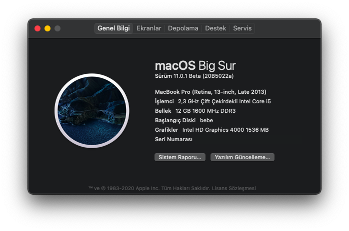 bigsur candidate.png