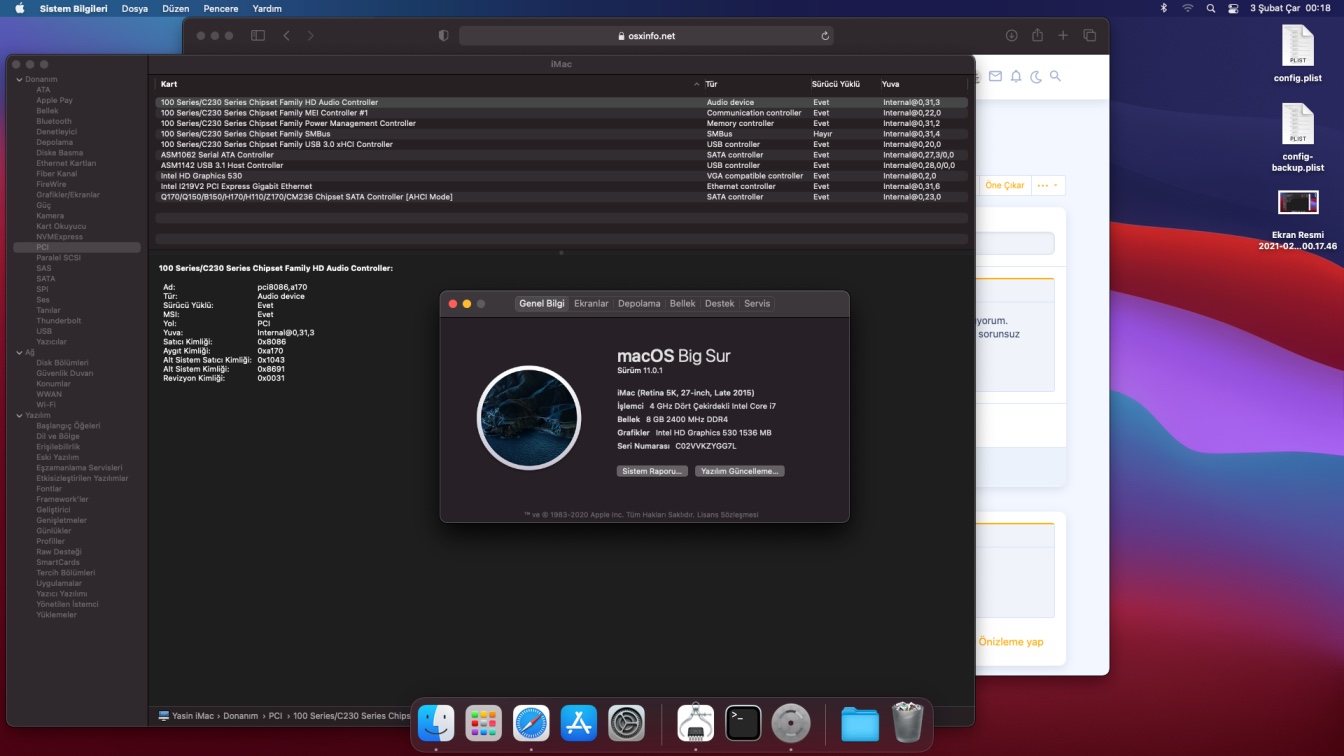 Ekran Resmi 2021-02-03 00.18.29.jpg