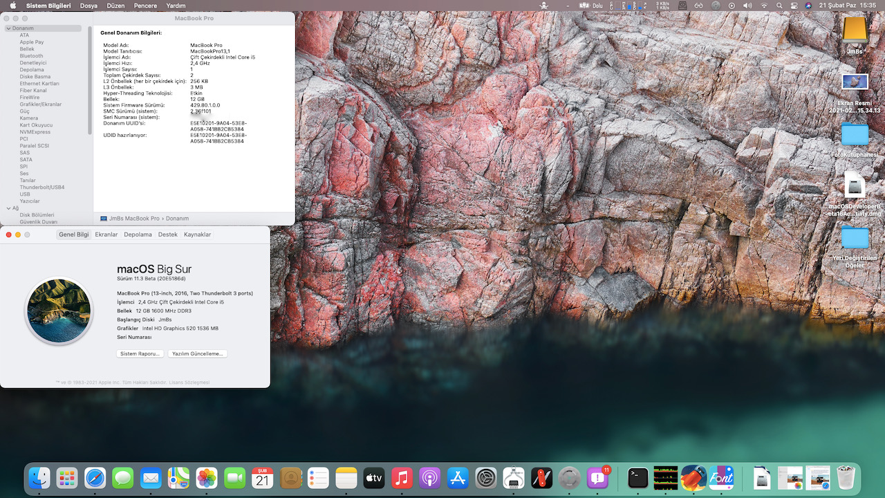 Ekran Resmi 2021-02-21 15.35.08.jpeg