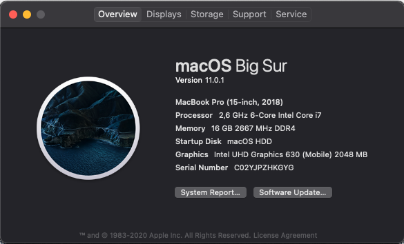 Screen Shot 2021-02-07 at 8.03.04 PM.png