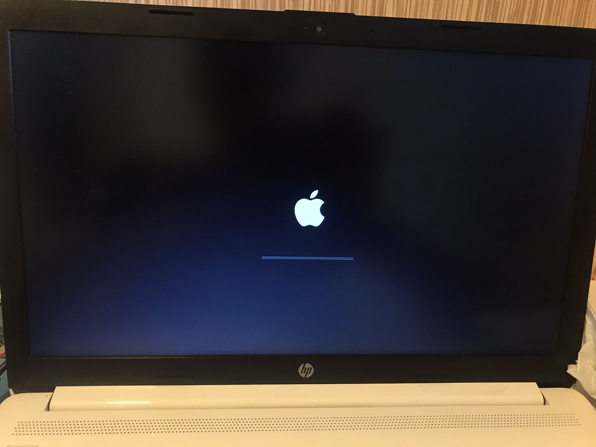 WhatsApp Image 2022-10-22 at 11.54.27.jpeg