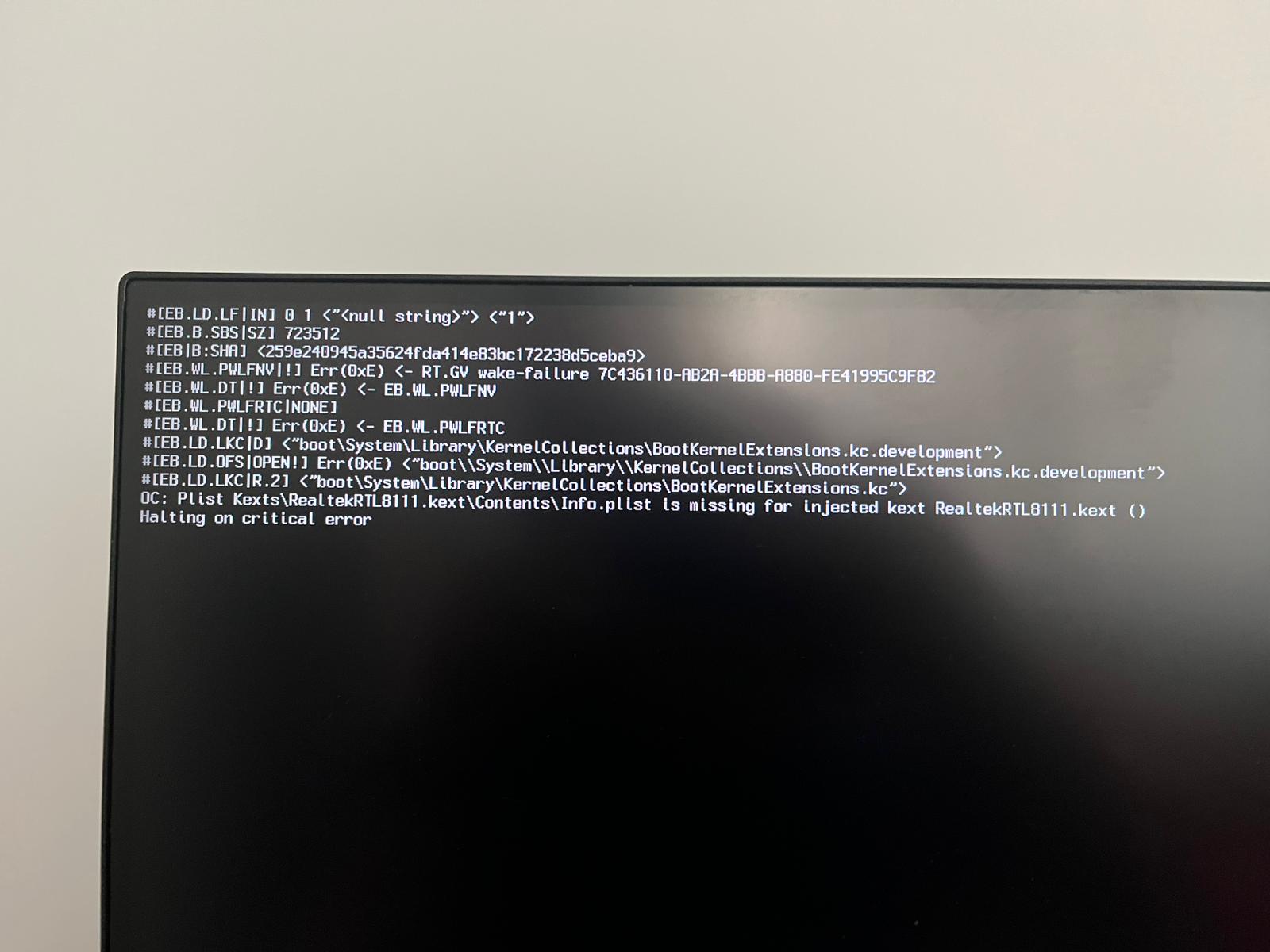 WhatsApp Image 2024-10-03 at 08.33.44.jpeg